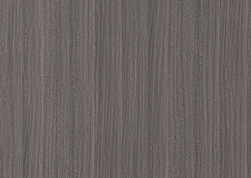 F-A231南美尤加利